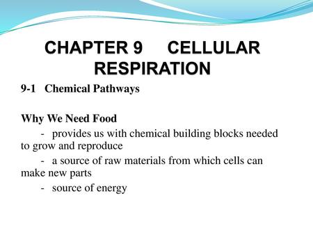 CHAPTER 9 CELLULAR RESPIRATION