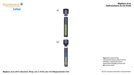 Hydrocarbons as ore fluids