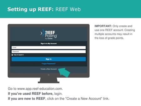 Setting up REEF: REEF Web