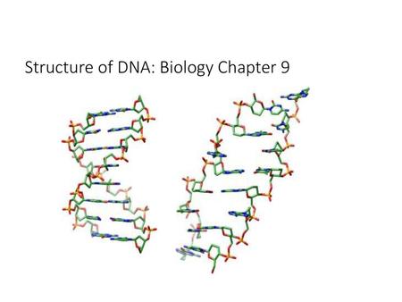 Structure of DNA: Biology Chapter 9