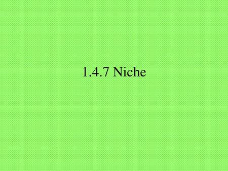 1.4.7 Niche.