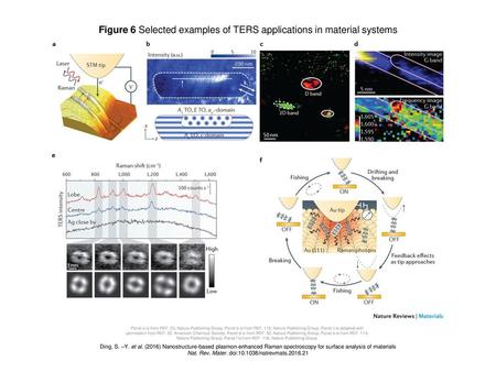 Figure 6 Selected examples of TERS applications in material systems