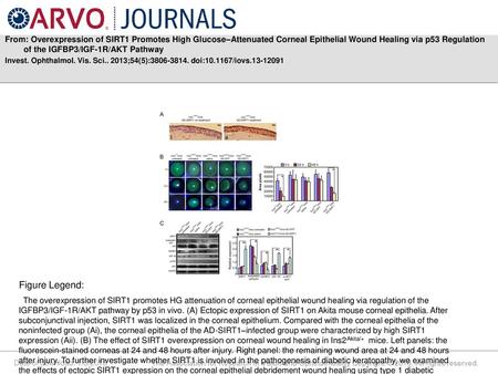 From: Overexpression of SIRT1 Promotes High Glucose–Attenuated Corneal Epithelial Wound Healing via p53 Regulation of the IGFBP3/IGF-1R/AKT Pathway Invest.