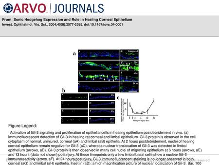 From: Sonic Hedgehog Expression and Role in Healing Corneal Epithelium