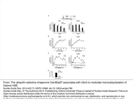 Figure 1. Cdc48 is cotranscriptionally recruited on active genes