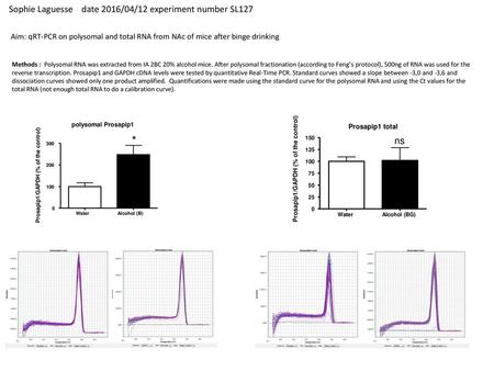 * Sophie Laguesse date 2016/04/12 experiment number SL127 ns
