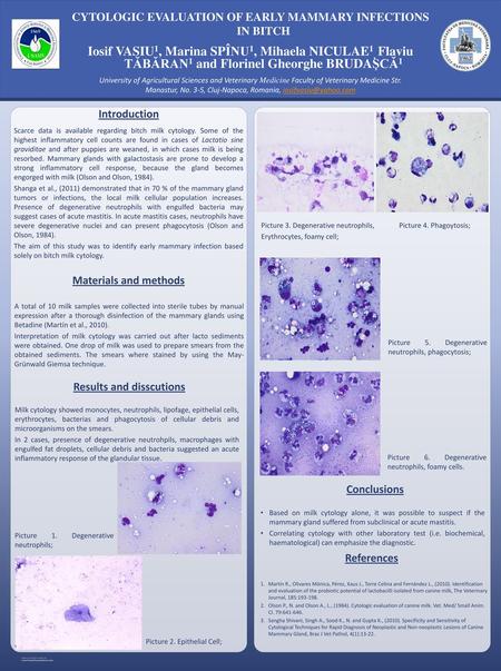 CYTOLOGIC EVALUATION OF EARLY MAMMARY INFECTIONS IN BITCH