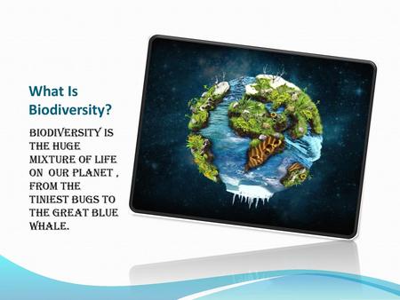 What Is Biodiversity? Biodiversity is the huge mixture of life on our planet , from the tiniest bugs to the great blue whale.