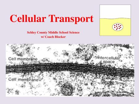 Schley County Middle School Science w/ Coach Blocker