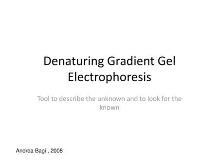 Denaturing Gradient Gel Electrophoresis