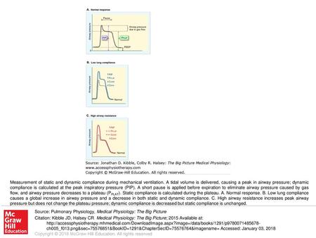 Measurement of static and dynamic compliance during mechanical ventilation. A tidal volume is delivered, causing a peak in airway pressure; dynamic compliance.