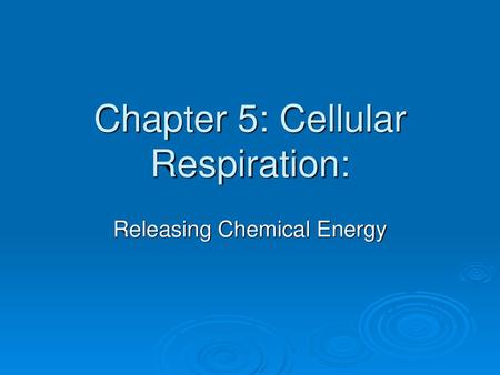 Chapter 5: Cellular Respiration: