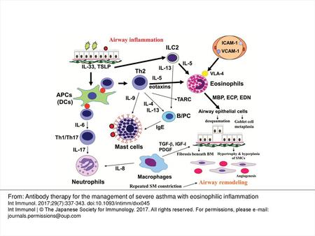 Fig. 1. Pathological mechanisms of asthma