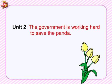 Unit 2  The government is working hard