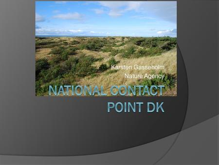 National Contact Point DK