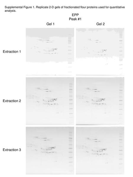 EPP Peak #1 Extraction 1 Extraction 2 Extraction 3 Gel 1 Gel 2