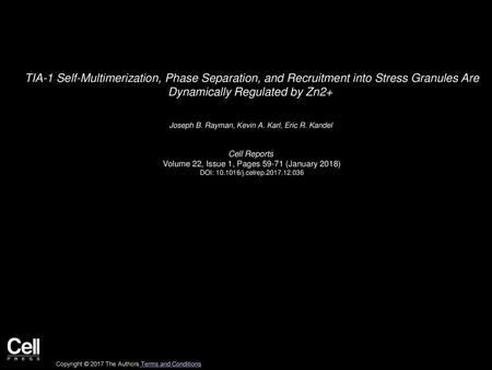 TIA-1 Self-Multimerization, Phase Separation, and Recruitment into Stress Granules Are Dynamically Regulated by Zn2+  Joseph B. Rayman, Kevin A. Karl,