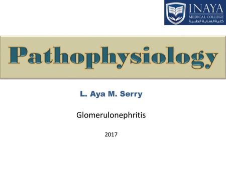 L. Aya M. Serry Glomerulonephritis 2017