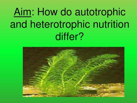 Aim: How do autotrophic and heterotrophic nutrition differ?