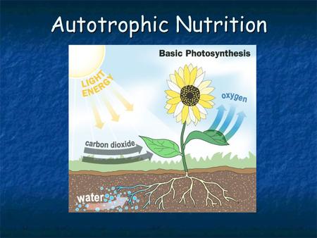 Autotrophic Nutrition