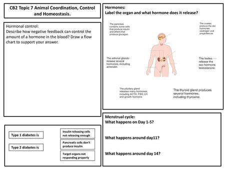 CB2 Topic 7 Animal Coordination, Control and Homeostasis.