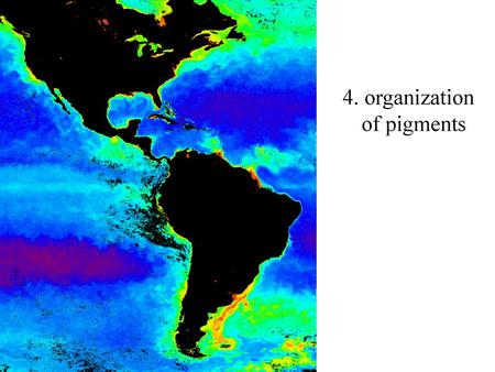 4. organization of pigments