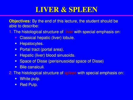 LIVER & SPLEEN Objectives: By the end of this lecture, the student should be able to describe: 1. The histological structure of liver with special emphasis.