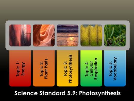 Topic 3: Photosynthesis