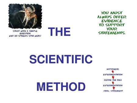 THE SCIENTIFIC METHOD.