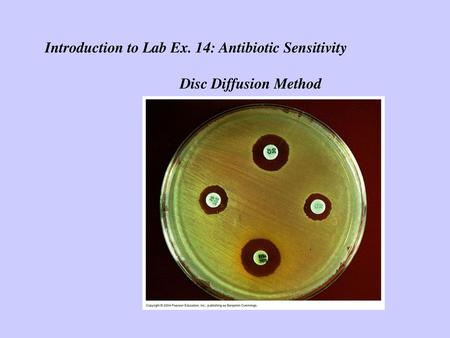 Introduction to Lab Ex. 14: Antibiotic Sensitivity