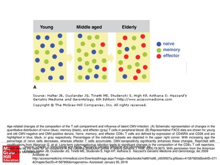 Age-related changes of the composition of the T cell compartment and influence of latent CMV-infection. (A) Schematic representation of changes in the.