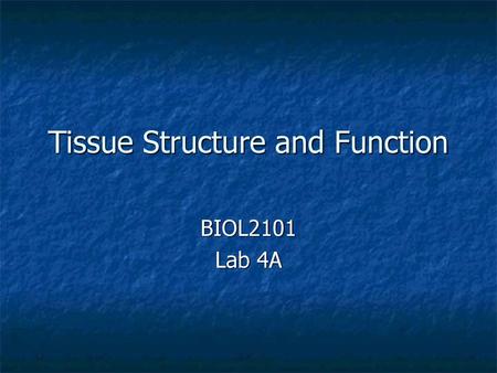 Tissue Structure and Function