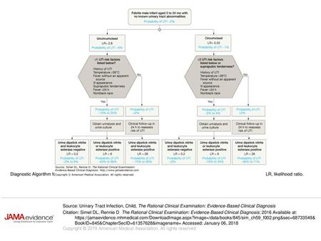 Diagnostic Algorithm for Febrile Male Infants Aged 3 to 24 Months Suspected of Having a UTI UTI indicates urinary tract infection; LR, likelihood ratio.