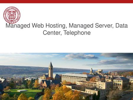 Managed Web Hosting, Managed Server, Data Center, Telephone