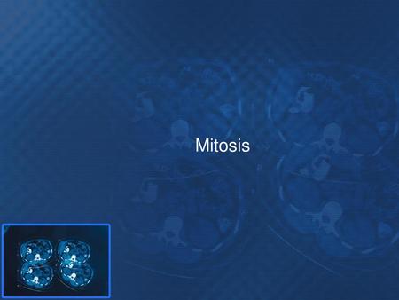 Mitosis.