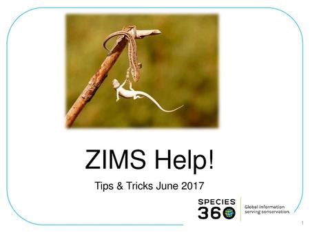 ZIMS Help! Tips & Tricks June 2017.