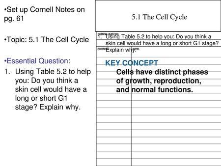 Set up Cornell Notes on pg. 61