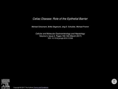 Celiac Disease: Role of the Epithelial Barrier