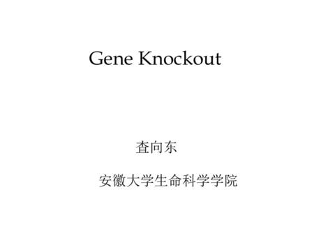 Gene Knockout 査向东 安徽大学生命科学学院.