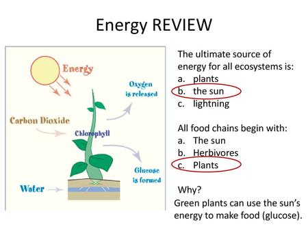 Energy REVIEW The ultimate source of energy for all ecosystems is: