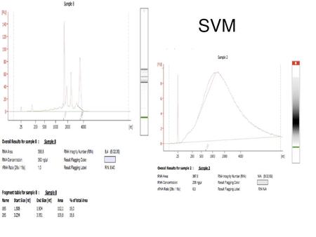 SVM 2FG.