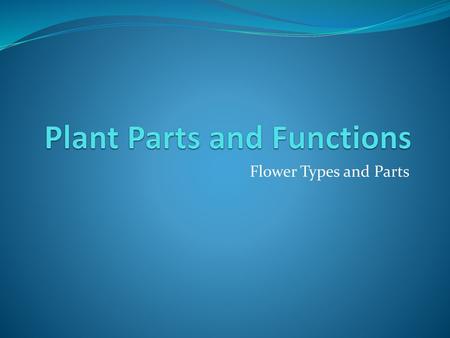 Plant Parts and Functions