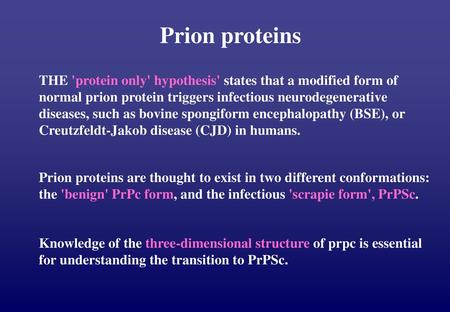 Prion proteins THE 'protein only' hypothesis' states that a modified form of normal prion protein triggers infectious neurodegenerative diseases, such.