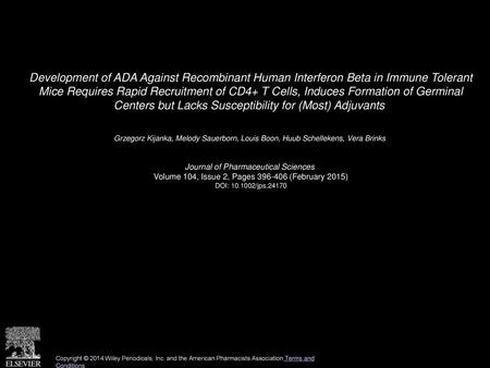 Development of ADA Against Recombinant Human Interferon Beta in Immune Tolerant Mice Requires Rapid Recruitment of CD4+ T Cells, Induces Formation of.