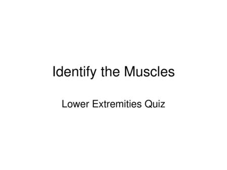 Lower Extremities Quiz