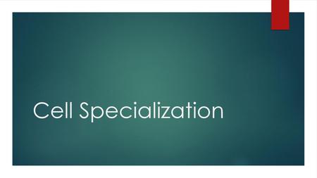 Cell Specialization.