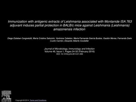 Immunization with antigenic extracts of Leishmania associated with Montanide ISA 763 adjuvant induces partial protection in BALB/c mice against Leishmania.