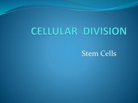 CELLULAR DIVISION Stem Cells.