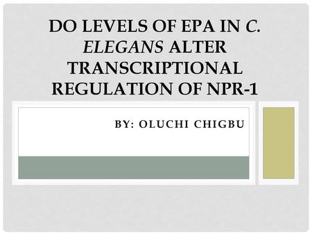 Do Levels of EPA in C. elegans Alter Transcriptional Regulation of NPR-1 By: Oluchi ChIgbu.