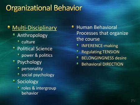 Organizational Behavior